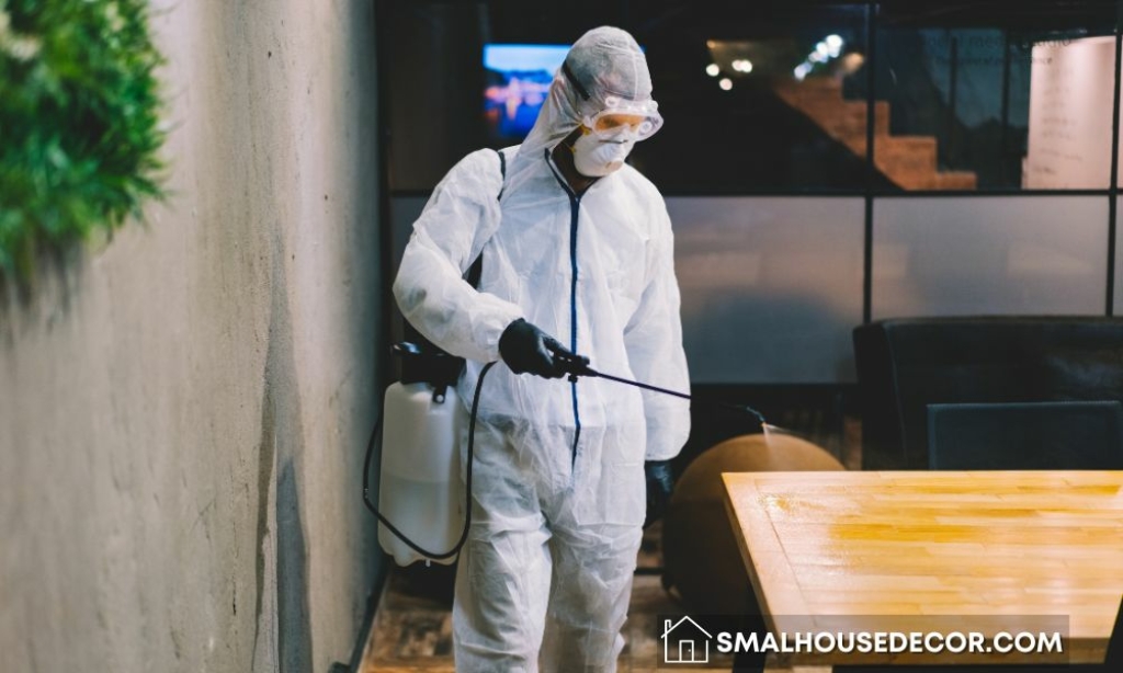 The Importance Of Portland Maine Pest Control For Health And Safety