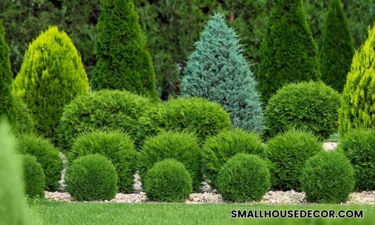 The Ultimate Guide to When Should You Cut Back Trees and Shrubs