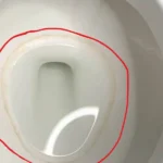 How to Get Rid of Toilet Ring