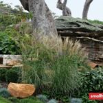 How to Keep Your Garden Trees Looking Fresh and Tidy