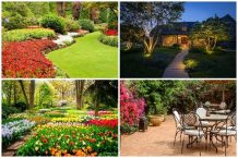 Nine Tips to make sure your garden stays beautiful
