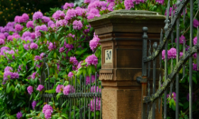 How to Improve Your Home’s Curb Appeal this Spring